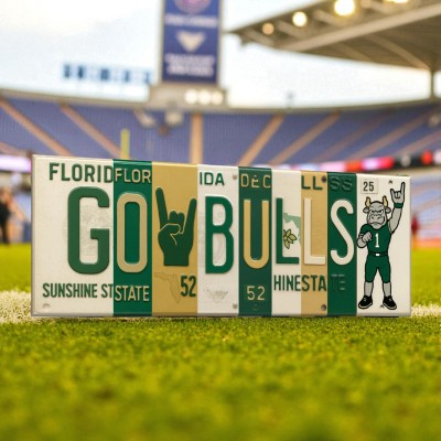 South Florida Bulls License Plate Sign College Football Decor Gift for Him